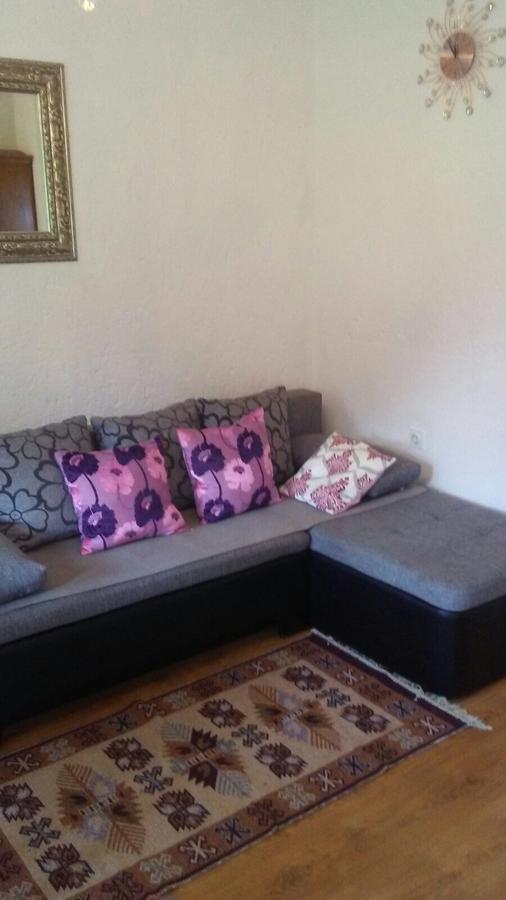 Apartments Smirnov Drežnik Grad Esterno foto